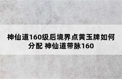 神仙道160级后境界点黄玉牌如何分配 神仙道带脉160